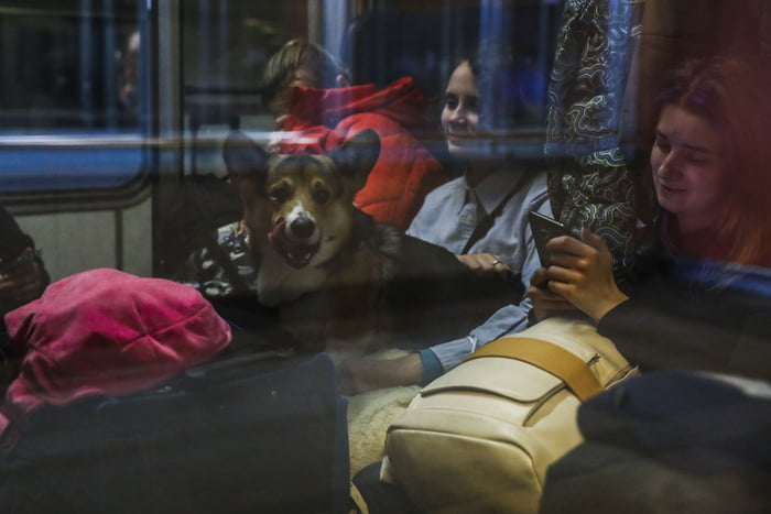 Refugiados ucranianos chegam de trem em estação de Krakov, na Polônia. No colo de uma delas, está um cachorro - Metrópoles