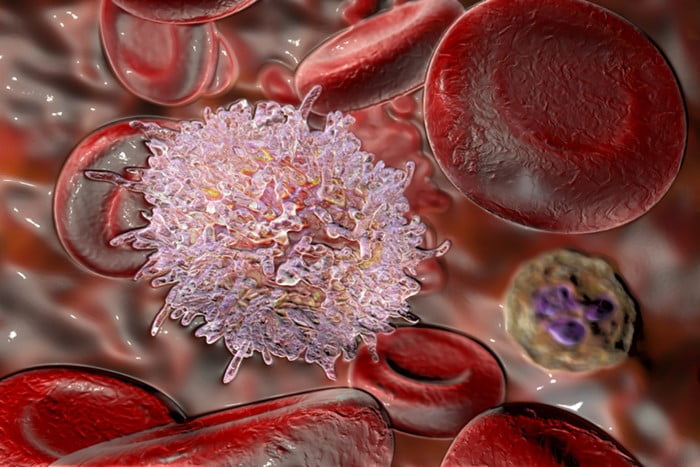 Ilustração celulas humanas leucemia- Metrópoles
