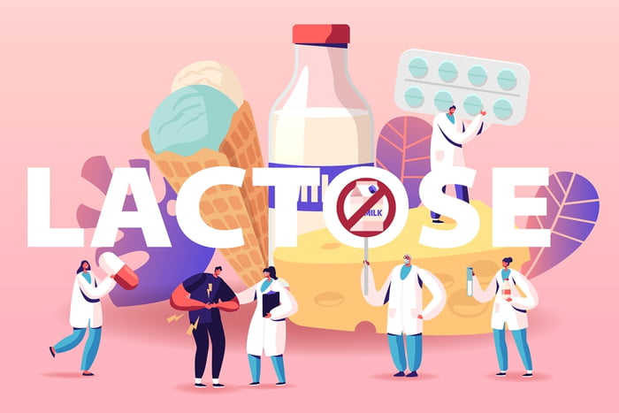 Ilustração colorida mostra a palavra "lactose" cercada de pessoas e alimentos com que são ricos no açúcar do leite - Metrópoles