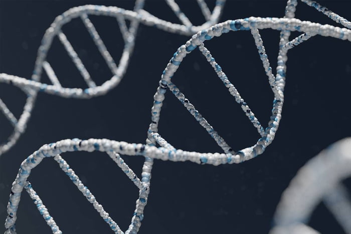 Ilustração mostra um genoma de DNA em azul e prata