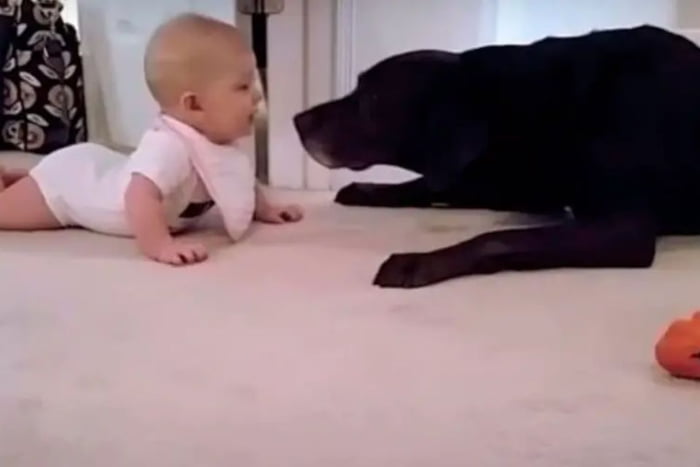 bebe e cachorro no tapete de casa