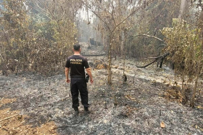 imagem colorida mostra agente da Polícia Federal em meio a queimada perto de Manaus - Metrópoles