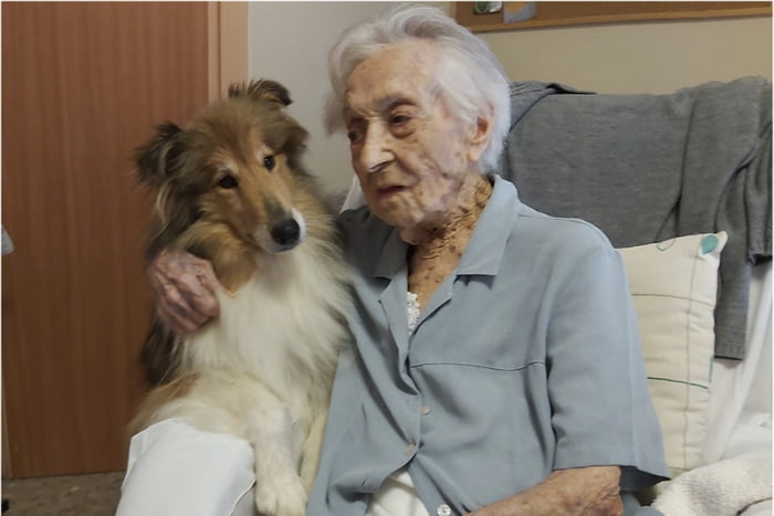 Foto colorida de mulher idosa ao lado de cachorro - Metrópoles