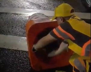 Imagem colorida de agente da CET ajudando homem que está dentro de um cone de trânsito - Metrópoles