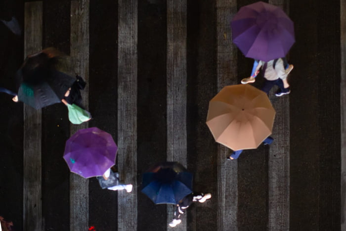 Faixa de pedestre com guarda-chuvas - Metrópoles