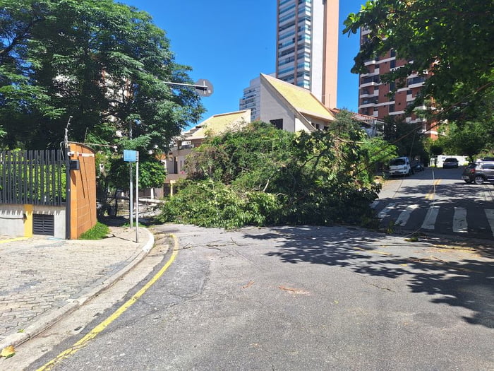 Imagem mostra árvore e poste derrubados sobre o asfalto - Metrópoles