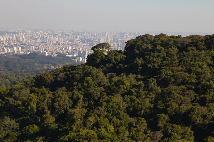 Imagem colorida mostra serra coberta de vegetação com a cidade de São Paulo, poluída, ao fundo - Metrópoles