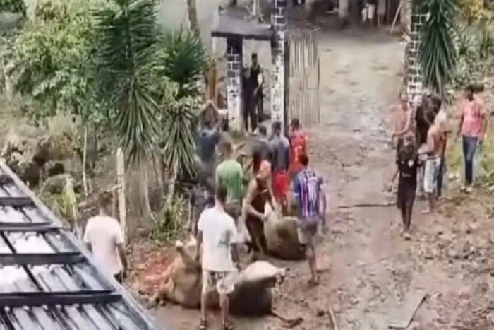 Carne de bois é saqueada após caminhão tombar na Bahia/Metrópoles